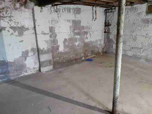 Testing again(46).jpg